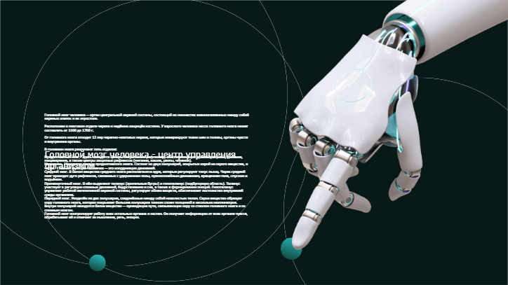 [Презентация] Головной мозг человека — орган центральной нервной ...