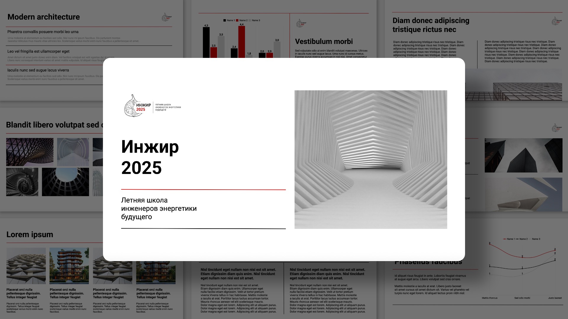 Presentation-template-Инжир 2025